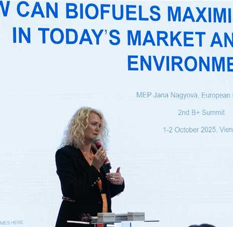 gallerythumbs0010VectorSmartObject